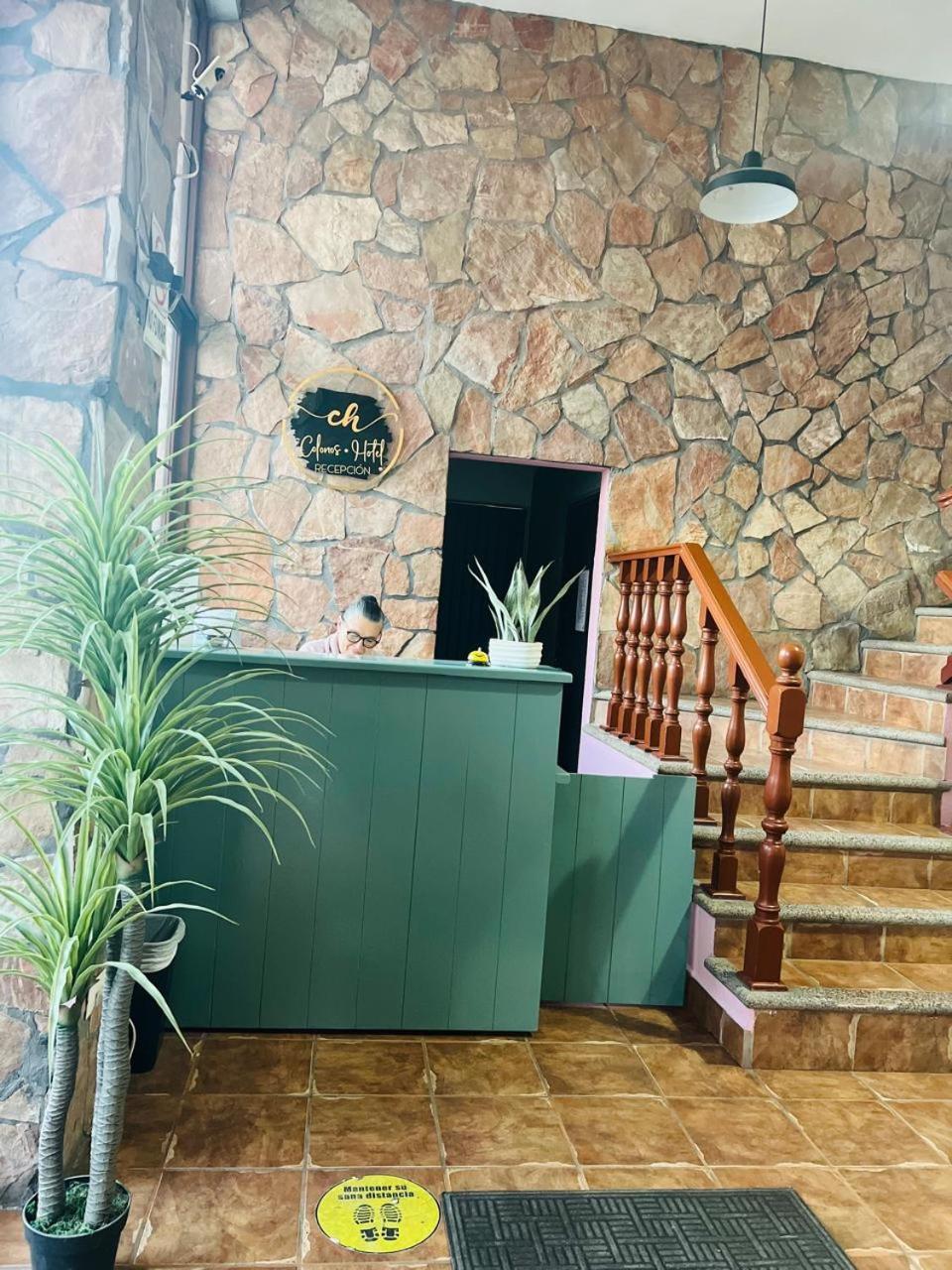 Hotel Colonos Los Cabos Cabo San Lucas Eksteriør bilde